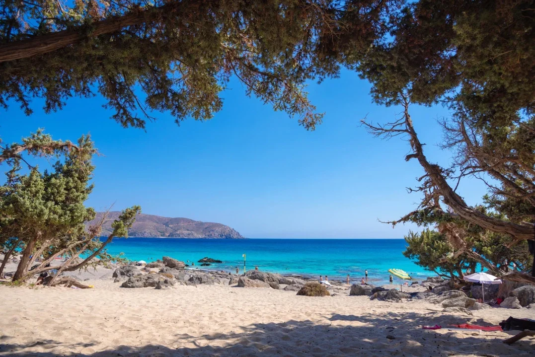 Kedrodasos beach framed by cedar trees above the turquoise sea, Crete